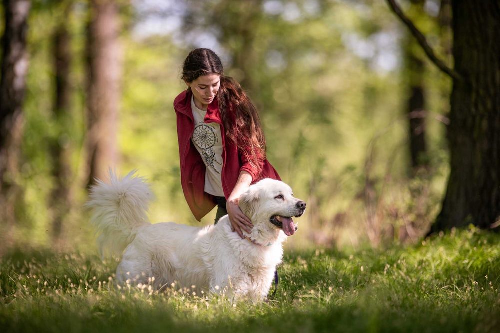 Nazir- wyjątkowy pies, dla wyjątkowego człowieka - do adopcji.