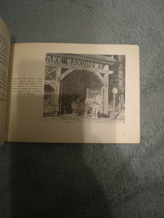 Trzy dni w Puszczy Białowieskiej