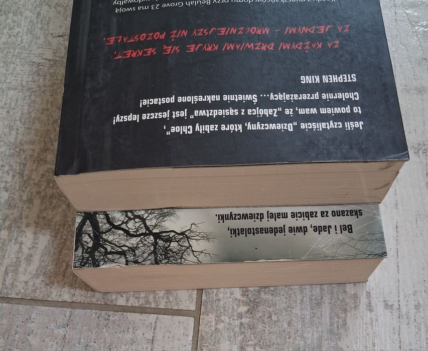 thrillery Alex Marwood Zabójca z sąsiedztwa