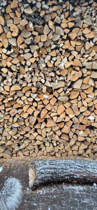 Drewno opałowe łupane olcha