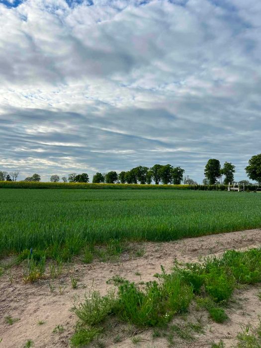 Działka z warunkami zabudowy o pow . 1277 m² - Widok 3