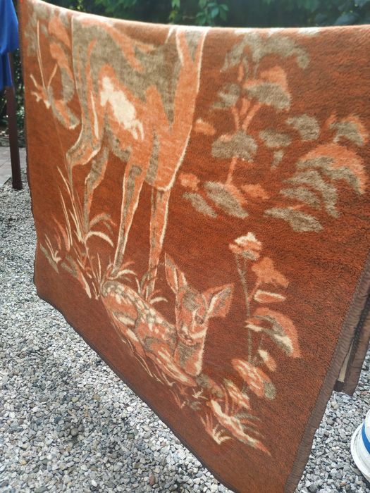 Koc  z jelonkami  200x150