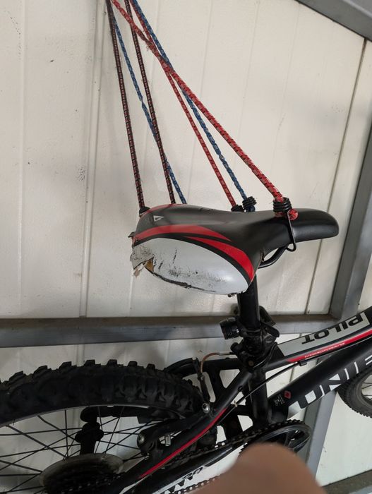Unibike pilot 20''