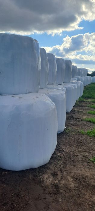 Sianokiszonka, kiszonka, słoma, bele, baloty