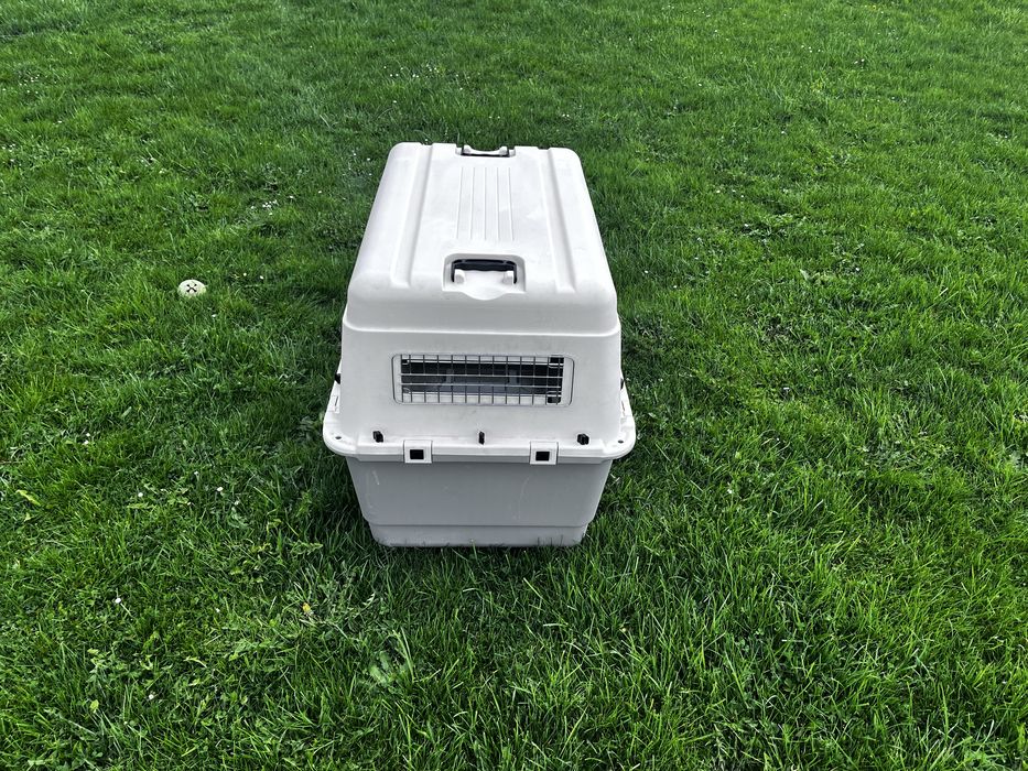 Transporter dla psa Feria 6
