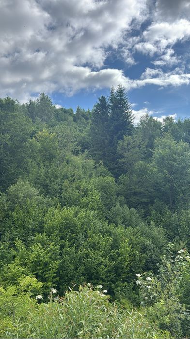 Земельна ділянка 6 соток біля Східниці