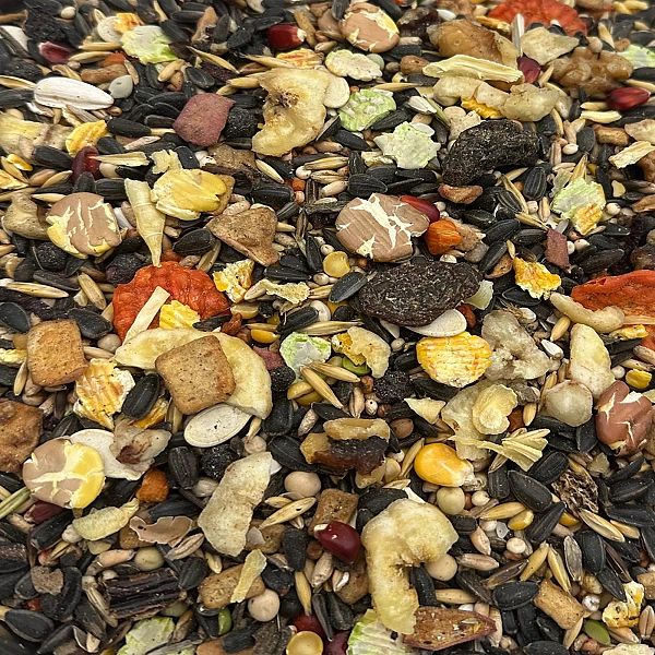 20kg Karma dla PAPUG dużych i średnich KOKTAJL pokarm PREMIUM Champi