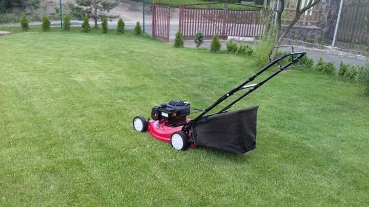 Обрізка фруктових та інших дерев на весну, обрискування санітарне.