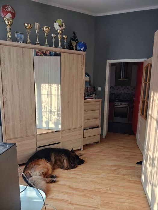 Mieszkanie na parterze w centrum Gubina