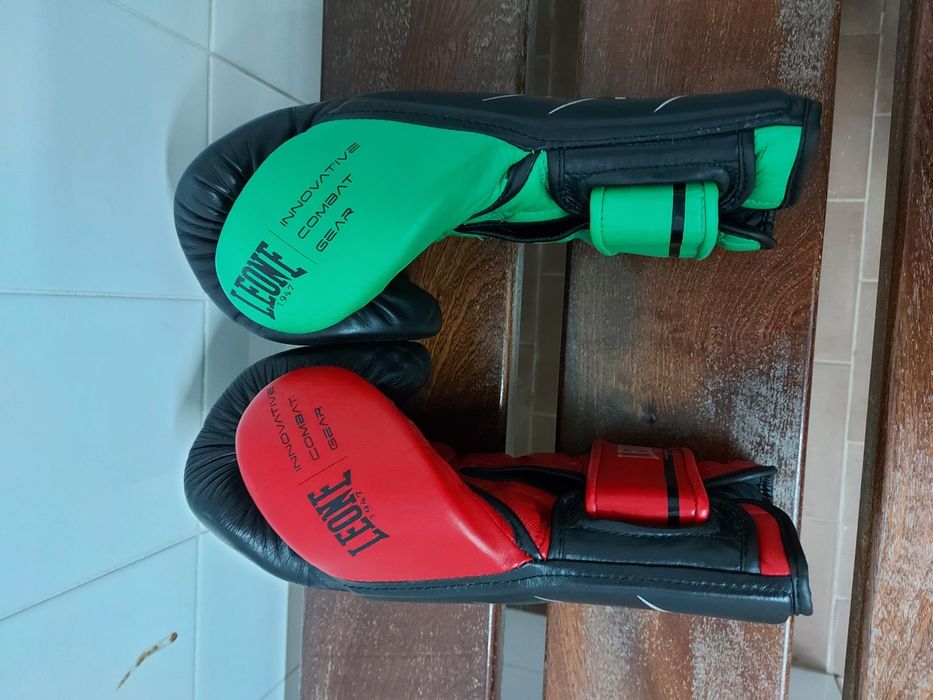 Luvas leone full performance 14oz