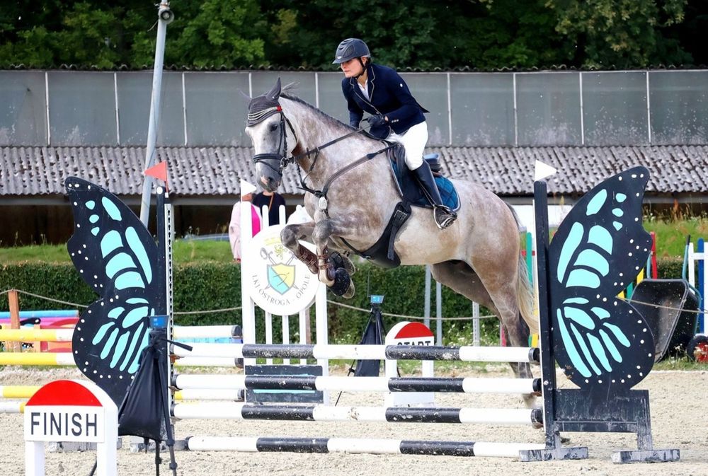 Stakkatol/Caretino wałach 7 lat z potencjałem