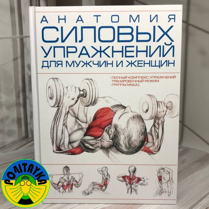 Анатомия силовых упражнений для мужчин и женщин