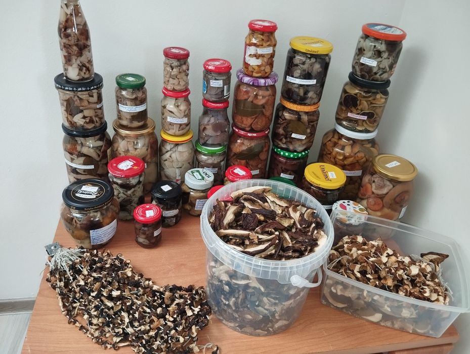 Маринованные грибы,опята,сыроежка,рядовка,ассорти,сухие грибы рядовка тополевая польский козляк рядовка фиолетовая говорушка