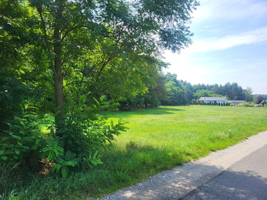 Działka Jeżewice  3300m2