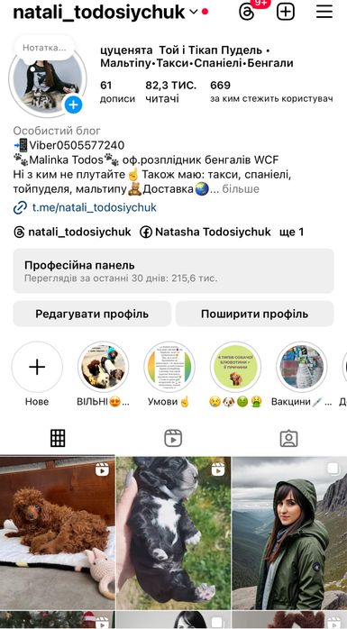 Чарівні пухнастики шукають домівку