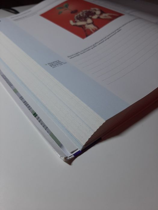 Vademecum Nowa teraz matura język polski Nowa Era