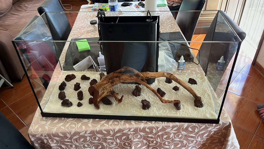 Aquário completo de água quente tudo incluído com peixes