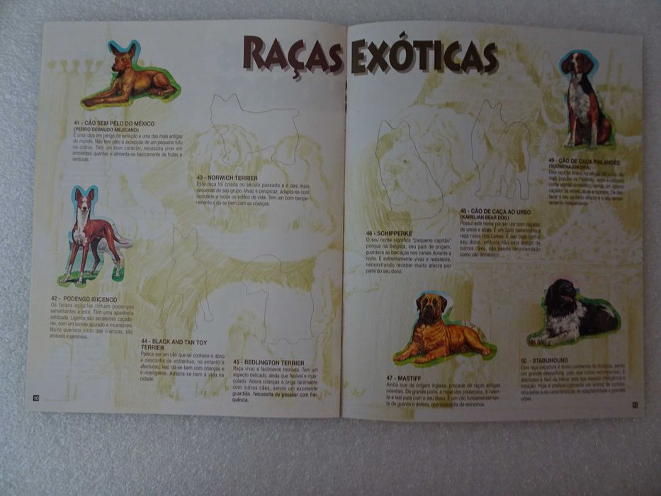 Caderneta cromos incompleta tem 19 cromos Bollycao O teu melhor amigo