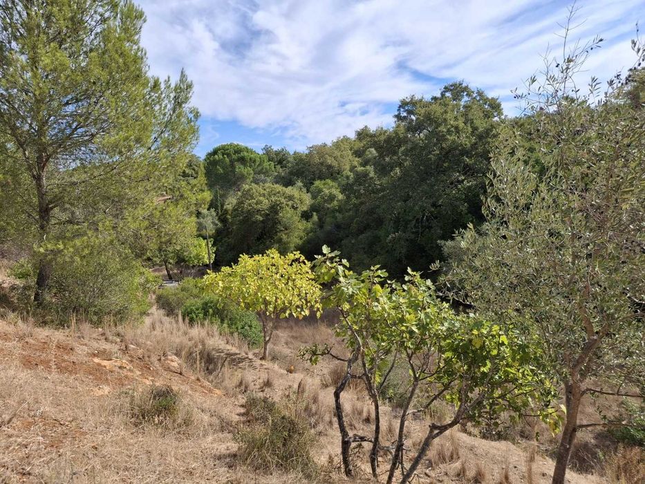 TERRENO COM Projeto de Construção Aprovado