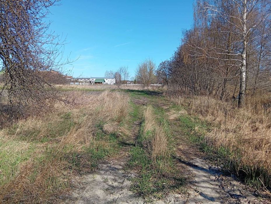 Ділянка у с. Свидівок