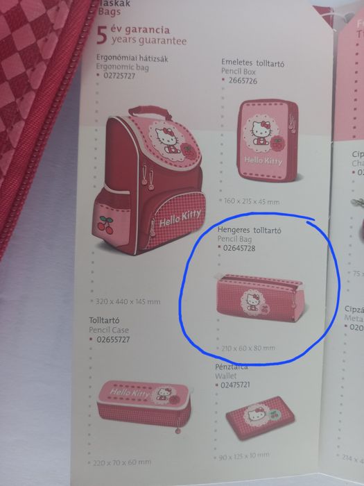 Estojo escolar da Hello Kitty64741083908995123