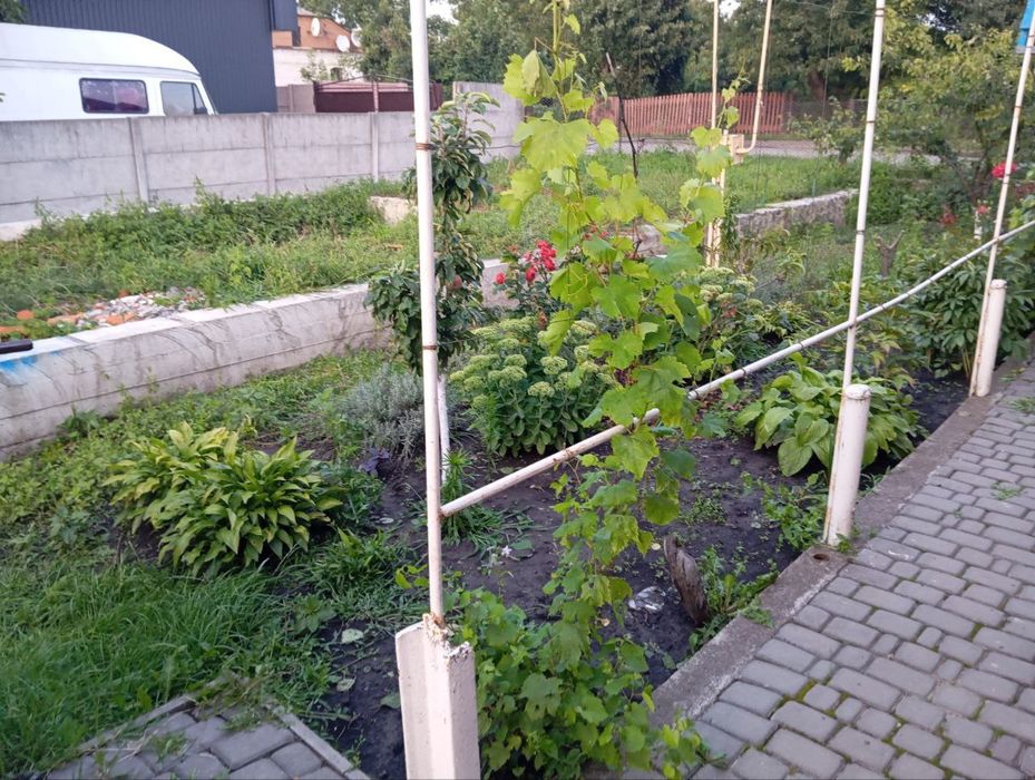 Частина будинку зі зручностями