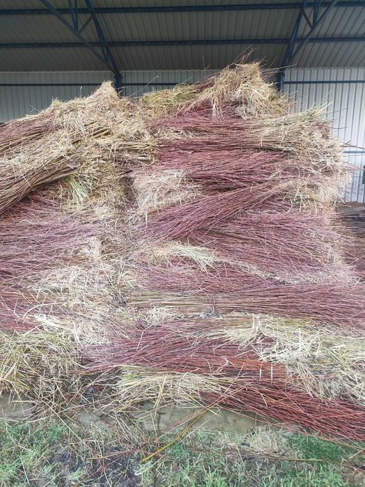 Witam sprzedam wiklinę na na pelet