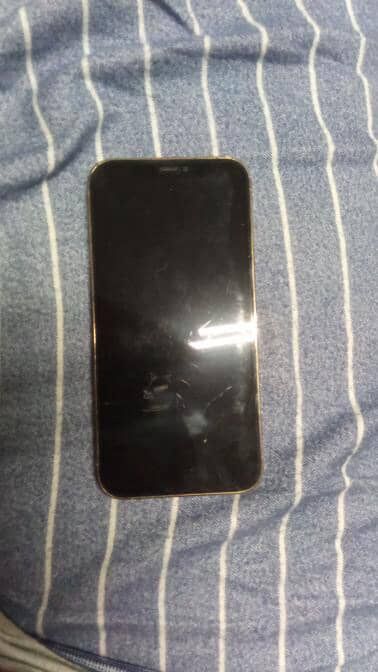 Iphone 12 pro com dias capas