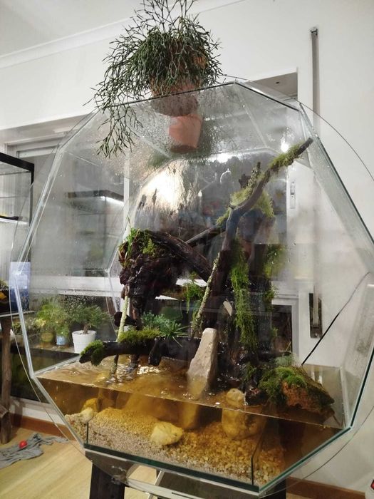 Vendemos aquário - paludário, nova opção!