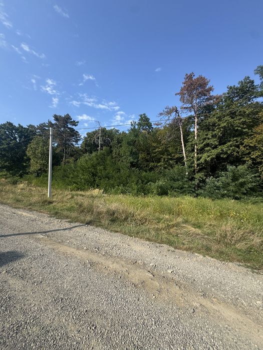 Продаж ділянки біля лісу