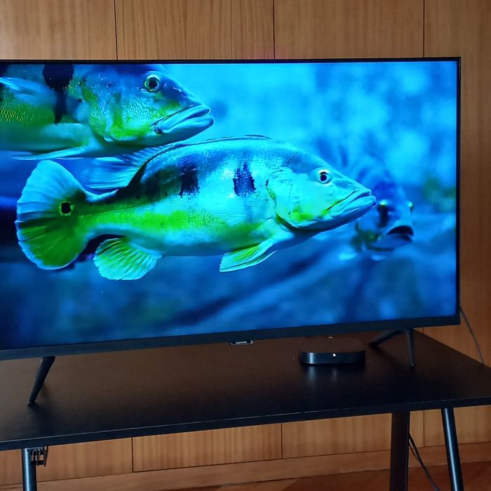 Smart TV Samsung 43" 4K - Estado de Loja