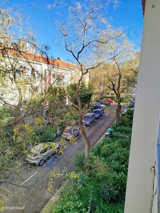 Quarto - localizado em Alvalade Lisbon