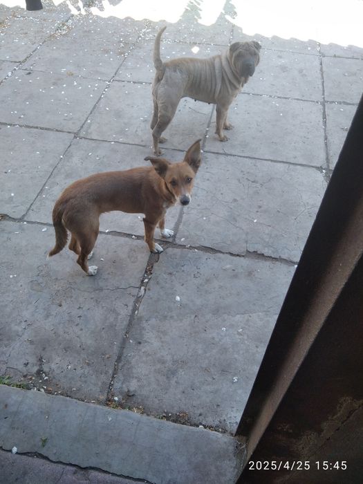 Потрібна допомога дуже сильно