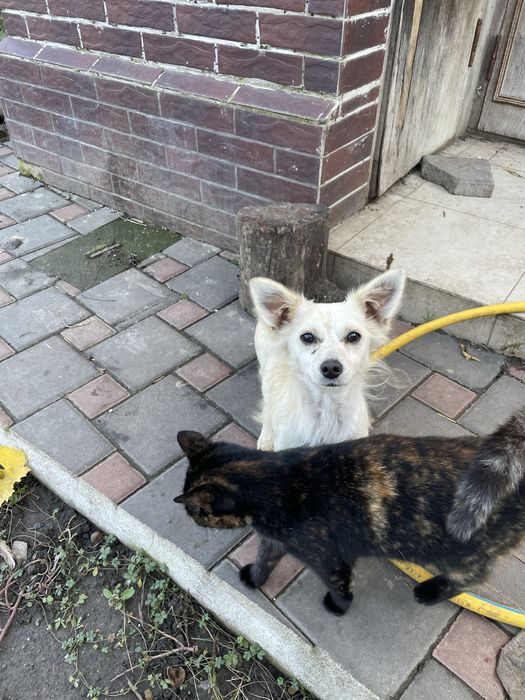 Чудом выжившая девочка