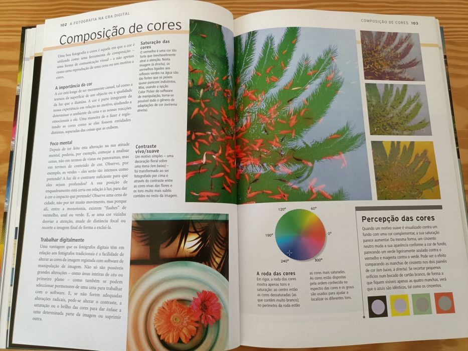 Livro Manual de Fotografia Digital