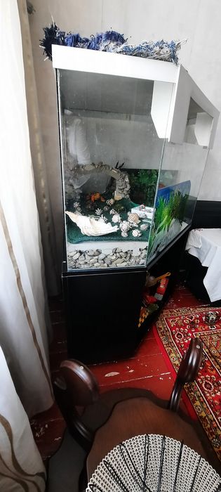Аквариум-террариум