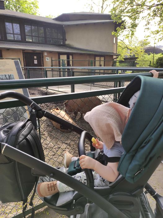Wózek Junama air v2, gondola i spacerówka