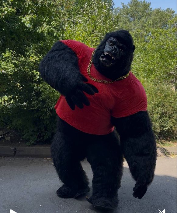 Мишка, Стич, Патрон, Гарилла, Панда, Зайка, Поздравления, Праздники