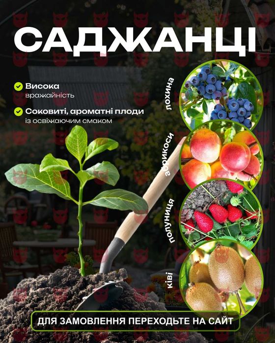 Рекламні креативи | Рекламные креативы | Банери | Відео | Дизайн |Фото