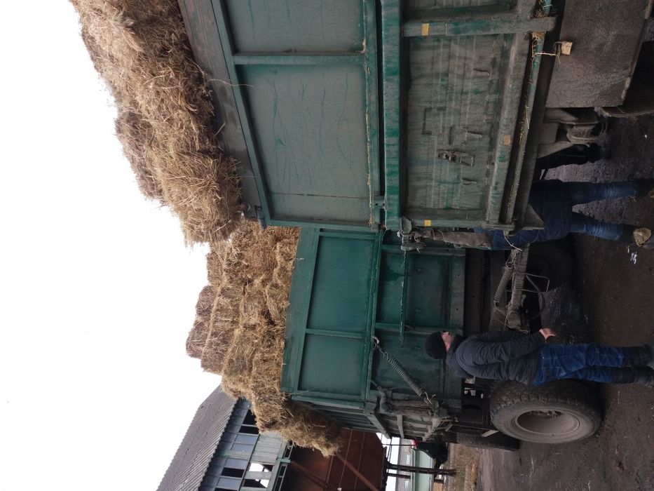 Коровам(лошадям)козам(овцам)