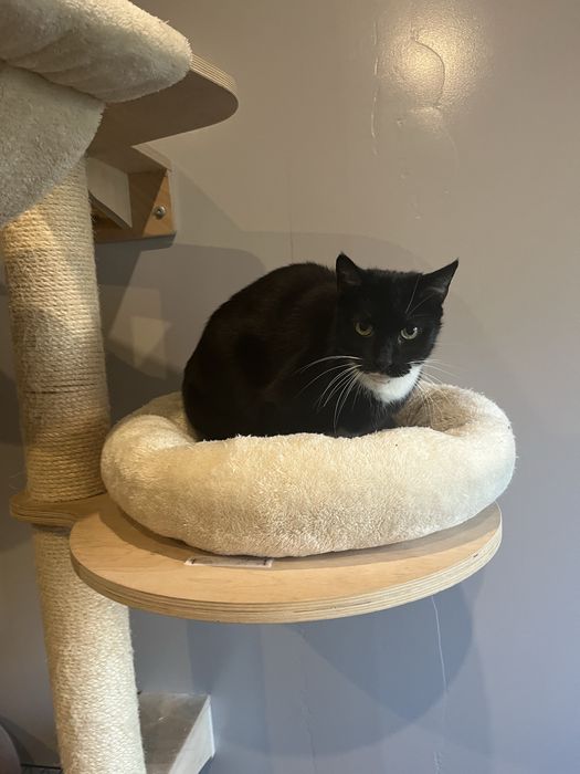 Delikatna Blanka szuka chaty