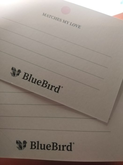Colar novo Bluebird