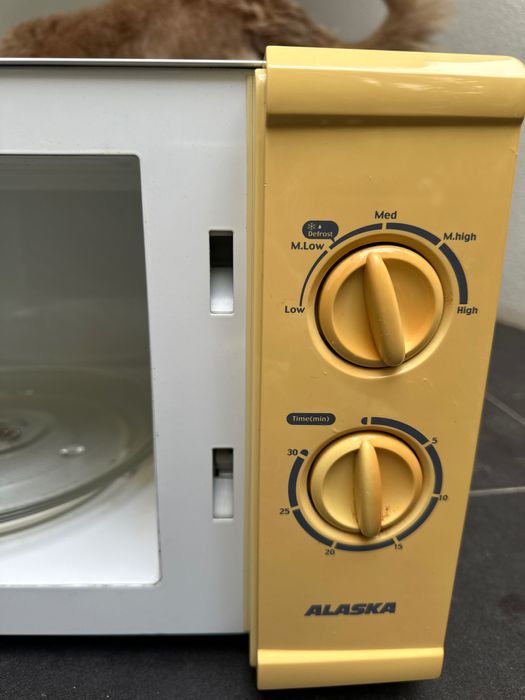 Microondas Alaska