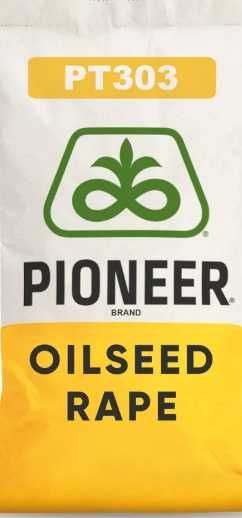 PT303 rzepak pioneer