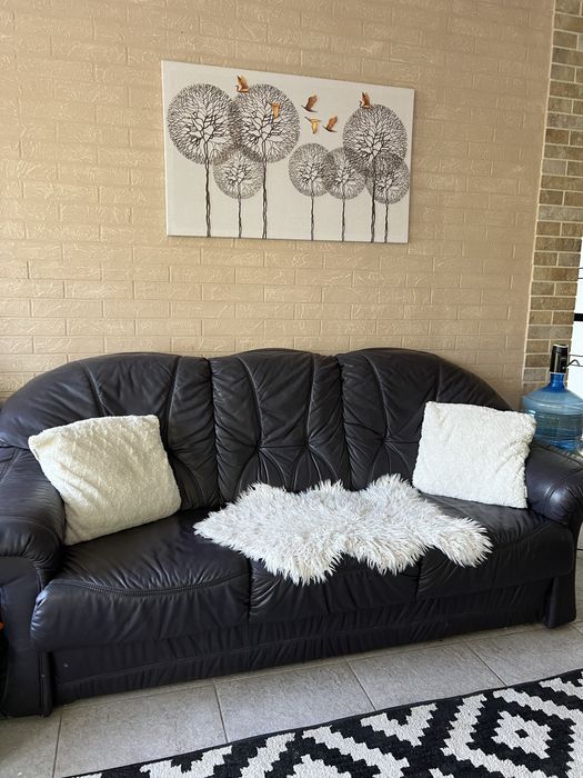 Диван з натуральної шкіри