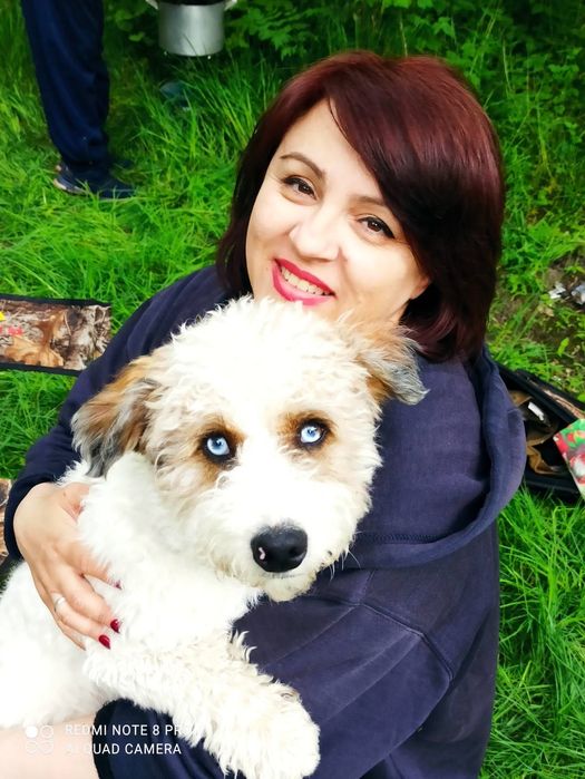 Собака для вязки