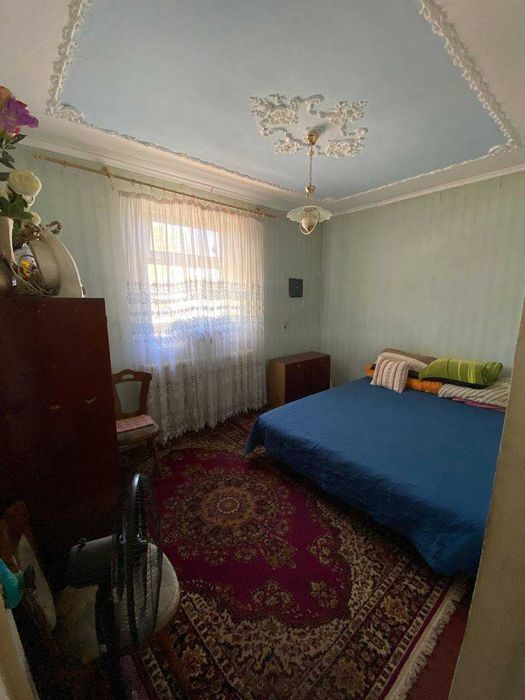 Великий будинок в Яссках з бізнесом!