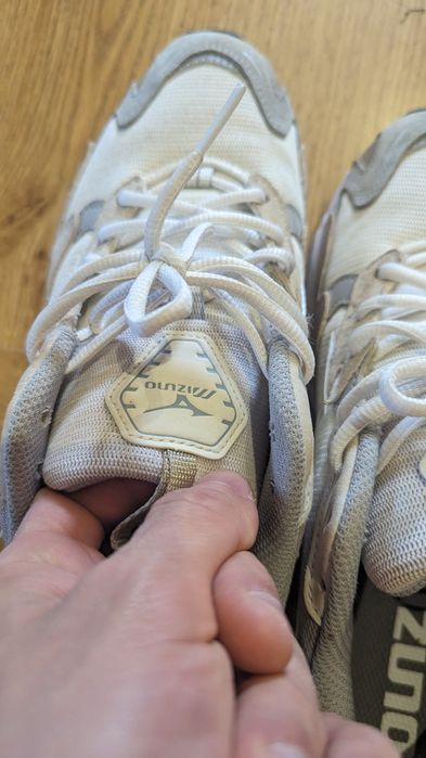 Mizuno wave rider 10