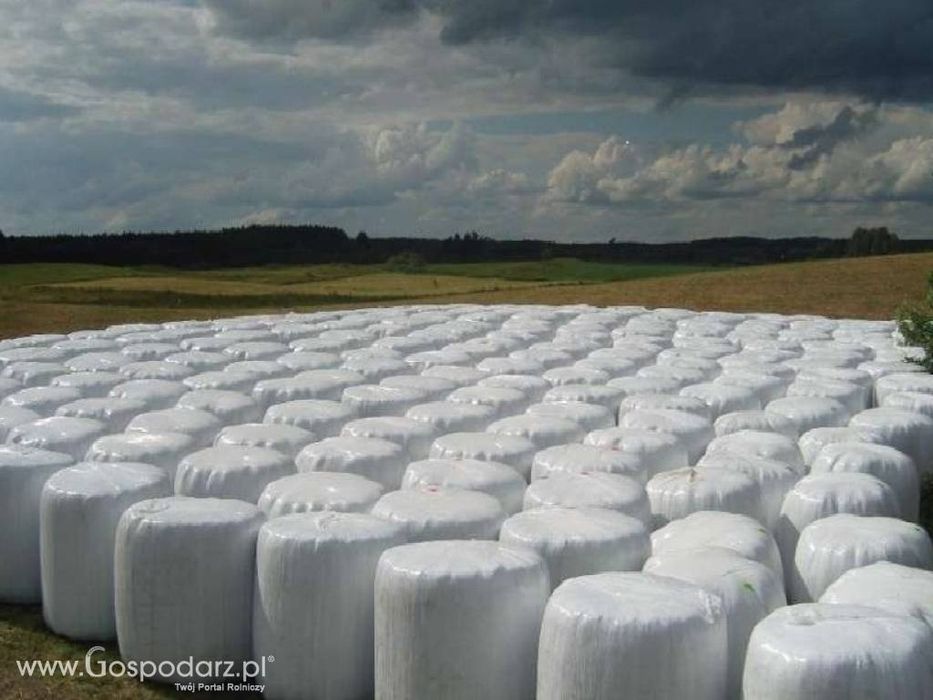 Sprzedam bele. Baloty.