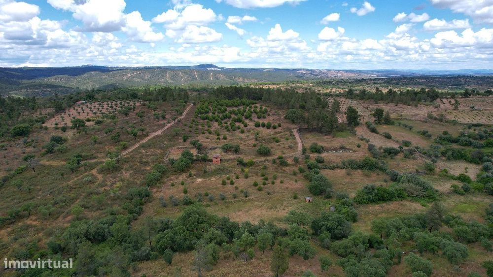 Terreno